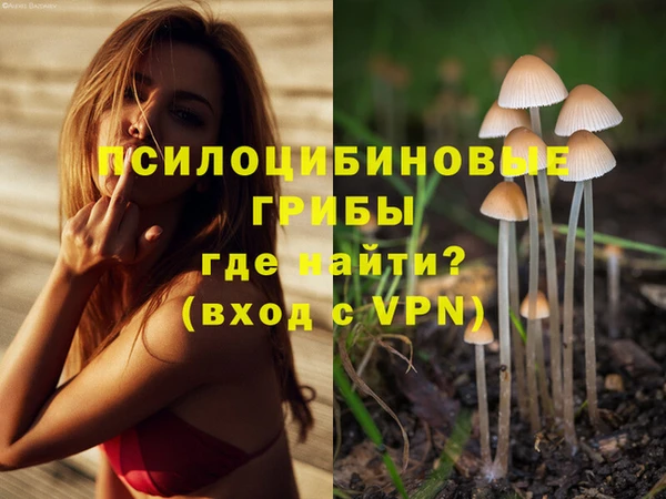 дурь Липки