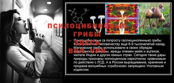 дурь Липки