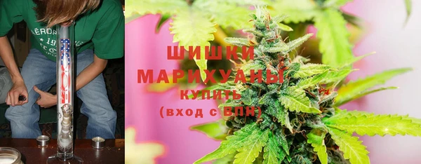 спиды Лиски
