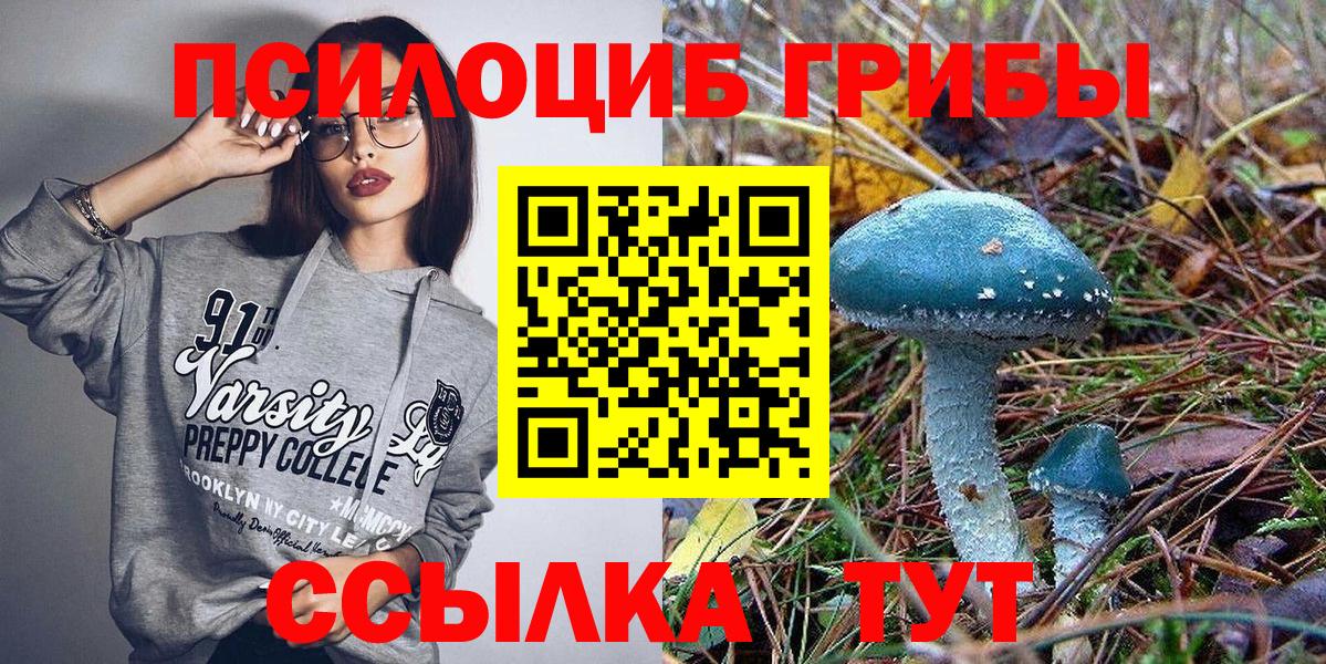 Псилоцибиновые грибы Psilocybine cubensis  Вход с VPN  Наро-Фоминск 